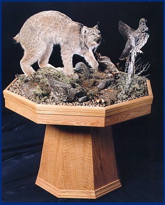 Lynx on pedestal