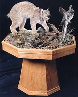 Lynx chasing grouse