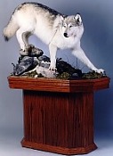 Wolf on pedestal