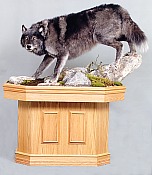 Wolf on pedestal